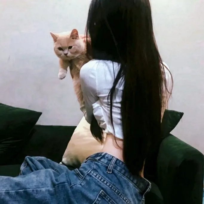 动画少儿